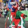 Desfile Nacional Carnaval 2018