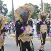 Desfile Nacional Carnaval 2018