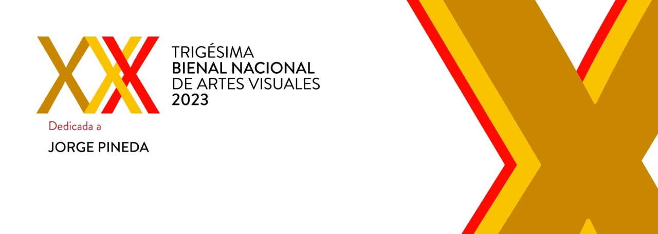 Bases Bienal Nacional Artes Visuales 2023